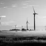 Embracing Sustainable Farming: A Necessity for Our Future