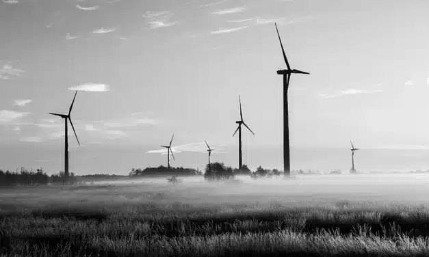 Embracing Sustainable Farming: A Necessity for Our Future