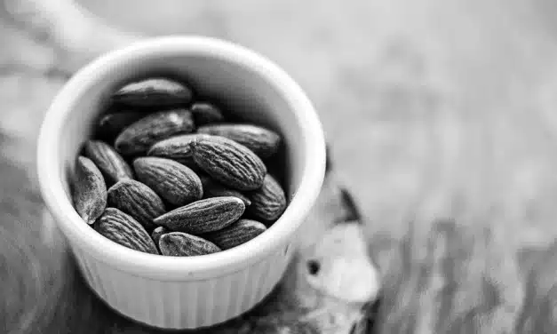 The Power of Prebiotics: Nurturing Your Gut for Optimal Health