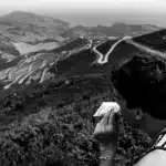 Protein Cookie: Crunch, Munch, and Protein Punch!