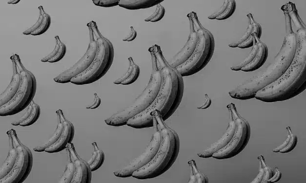 Best protein powder flavours 2024 in Australia