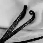 Vanilla Protein Powder: Best Flavour In Australia