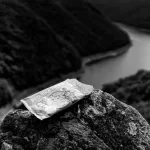 Vegan snack: A Culinary Odyssey of Taste and Ethics