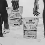 What whey protein? Here’s What You Need to Know!