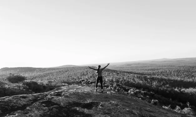 Tasteless protein powder by Protein Supplie Australia