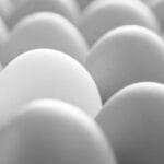 Egg white protein: the best in Australia!